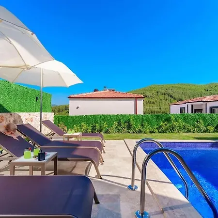 Brown * Kaş